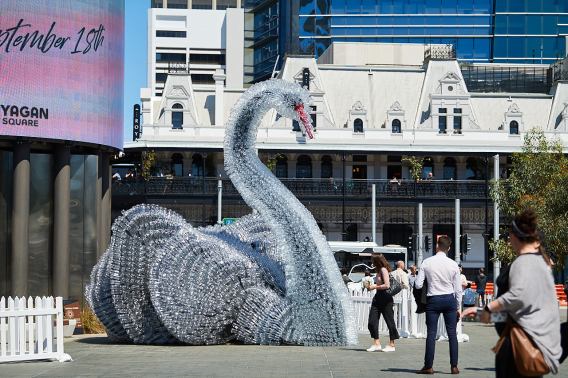 A swan made from 10,000 plastic bottles launches Containers for Change in WA