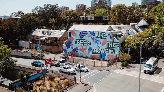Converse and Amplify bring clean air to Sydney via ‘City Forests’ campaign