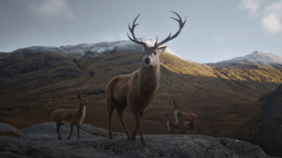 Glenfiddich issues a challenge to whiskey drinkers with ‘Where Next?’ campaign
