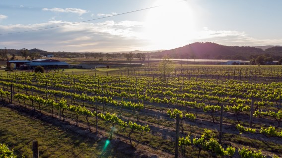 Queensland Wine launches ‘Vine and Shine Trail’ campaign