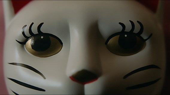 A lucky cat stars in new Saatchi & Saatchi campaign for Lucky Nuts