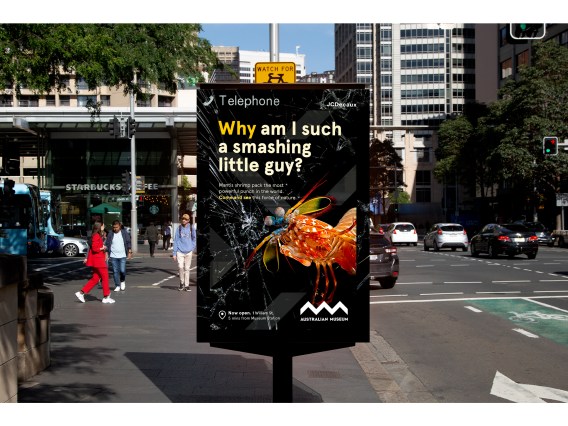 Australian Museum pivots to brand marketing after reopening to the public
