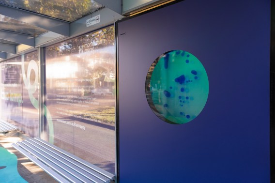 JC Decaux puts a lava lamp inside a tram stop for Momentum Energy