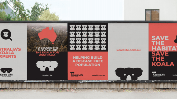 Principals rebrands koala research agency Koala Life