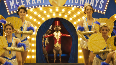 Compare The Market Australia monitoring meerkat campaign over Ukraine
