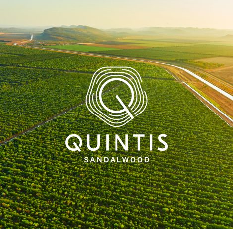 Quintis appoints Illuminate as global PR partner