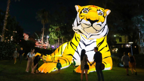 City of Sydney tenders 2022 Sydney Lunar Festival creative