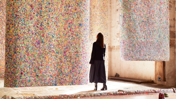 Biennale of Sydney & Cicada Innovations launch sustainable challenge