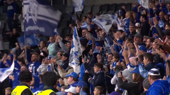 Carroll & O’Dea Lawyers partners with Canterbury-Bankstown Bulldogs