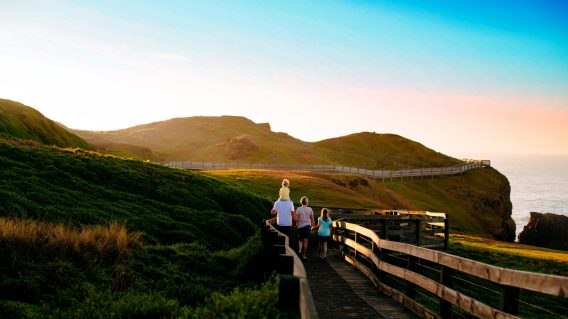 Hardhat appointed by Destination Phillip Island for tourism push
