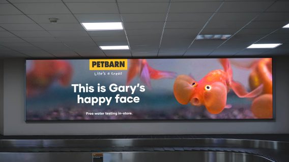 First campaign from BMF for Petbarn since winning creative account