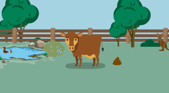 MLA launches animated series about red meat and the environment