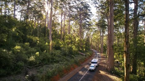 303 MullenLowe Perth appointed for new WA tourism campaign