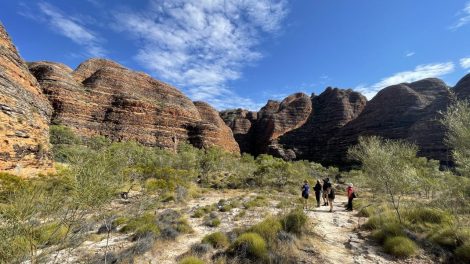 Australian Geographic acquires 50% in Insight Travel, launches tours