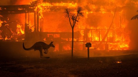 NRMA Insurance re-visits ‘Black Summer’ via film and book initiative