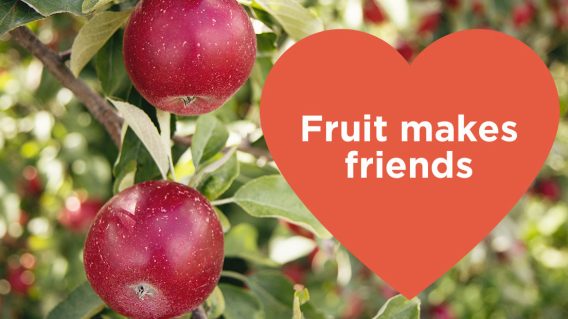 NSW Government releases campaign encouraging residents to plant trees
