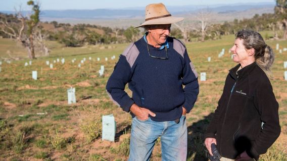 Greening Australia appoints Haystac Dentsu as its PR agency