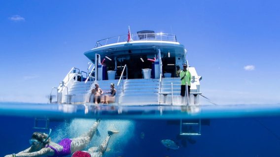 QLD Government releases campaign to promote tourism jobs