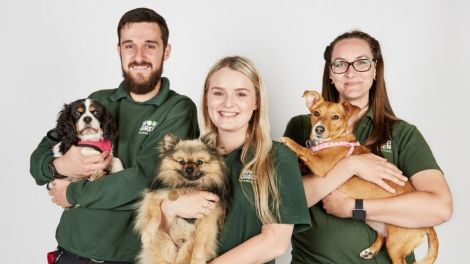 The Dog House wins entertainment while Nine tops Tuesday