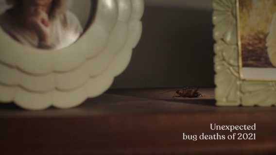 Aerogard pays tribute to dead bugs in Oscars-style In Memorian