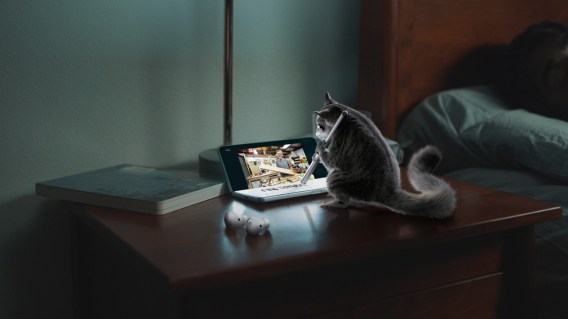Sugar glider fronts Optus Christmas ad set to ‘Everything I Own’