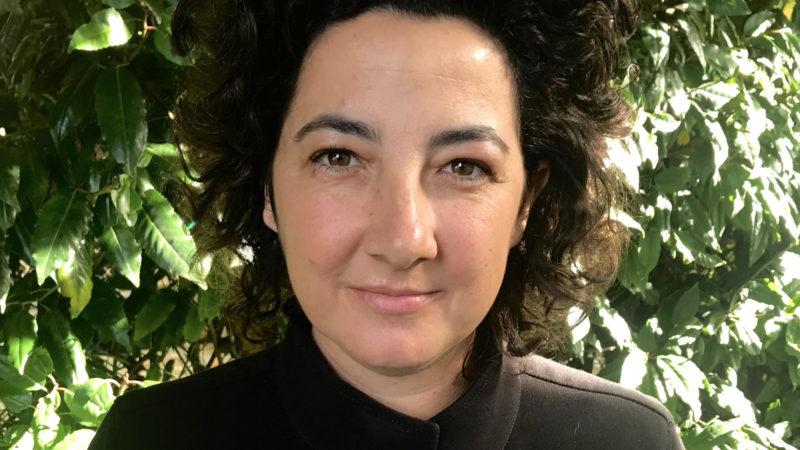 Deb Spinocchia