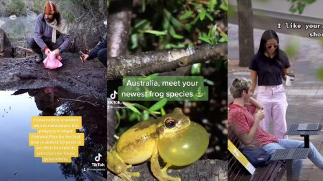 UNSW Sydney’s TikTok account hits 1M engagements