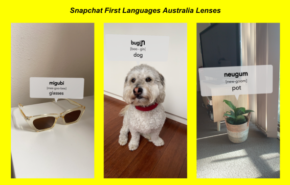 Snapchat, First Languages Australia celebrate International Mother Language Day