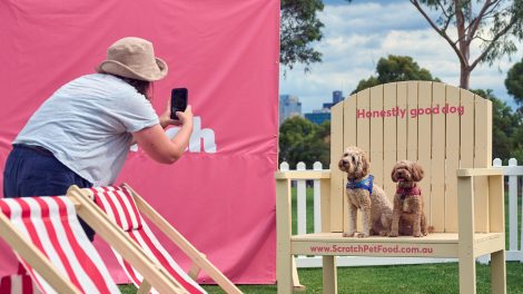 Scratch Pet Food launches doggy playground activation in Melbourne