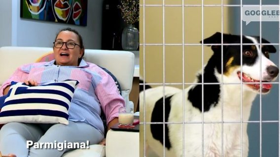 Ten’s Gogglebox tops entertainment for Thursday night
