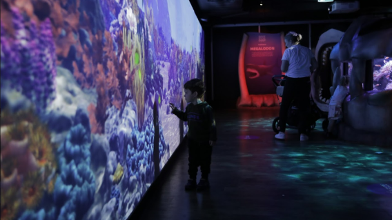 Method partners with Sea Life, bolstering its Australian portfolio