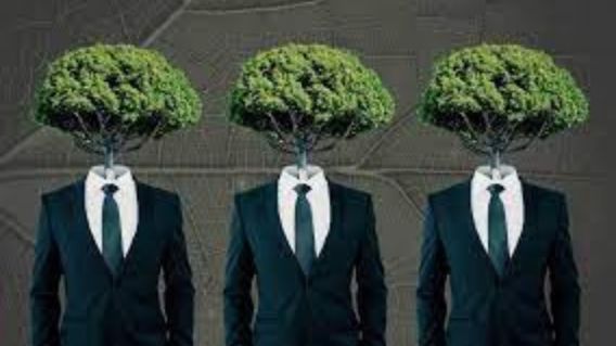 ‘Sustainability is no longer a peripheral issue’: Industry leaders share advice on embracing sustainability