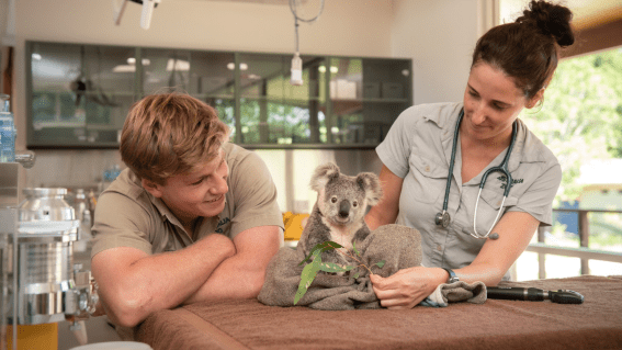 Australia Zoo releases NFT project to help preserve wildlife and wild space