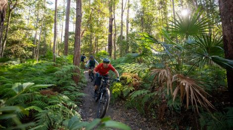 Visit Sunshine Coast launches ‘Ride the 5’ campaign for mountain bike lovers