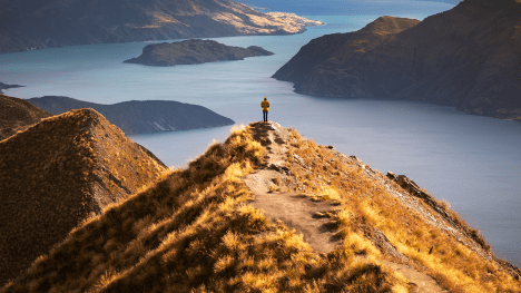 Why purposeful work matters – a call to action