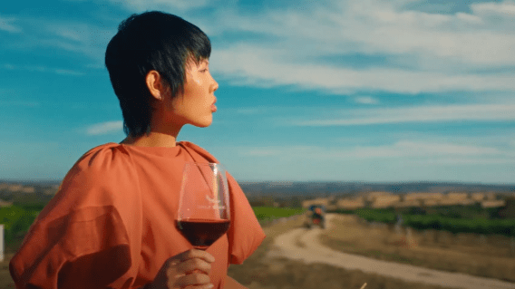 Wolf Blass asks ‘why’ in new work from Wunderman Thompson