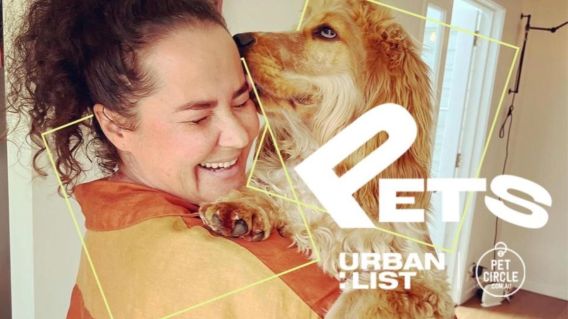 Urban List partners with Pet Circle to launch Urban List Pets