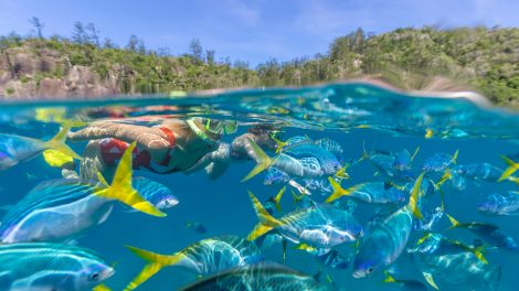 Dentsu snags Tourism and Events Queensland media account as Bass’ first big win