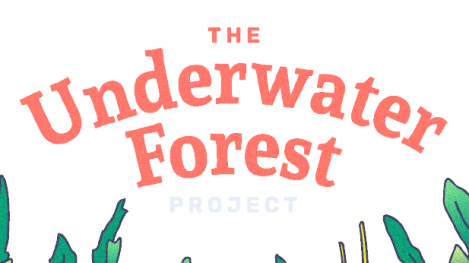 We Are Explorers is crowdfunding to reforest Sydney’s seas