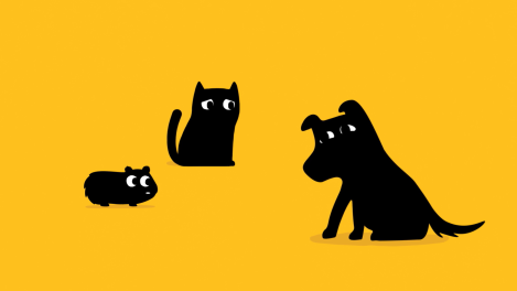 Howatson+Co launches new brand platform for Petbarn