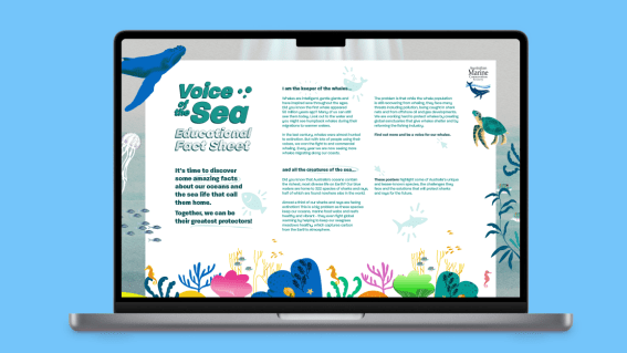 The Australian Marine Conservation Society launches a new campaign, via Innocean Australia