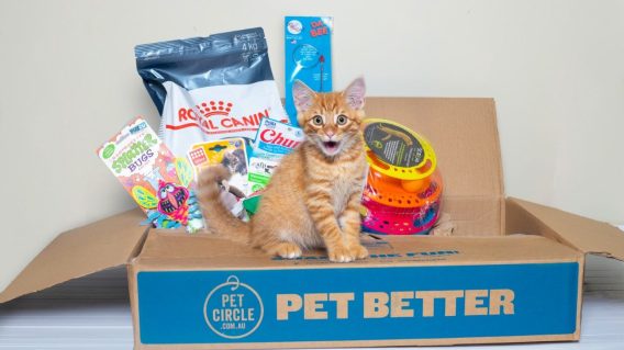 Pet Circle hires AnalogFolk as creative agency