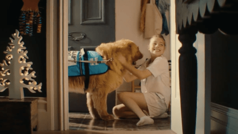 Communicado helps PETstock’s Petspiration Foundation Christmas Project