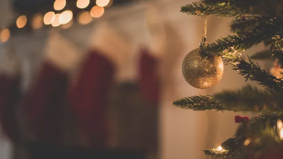 Australian consumers squeezed by rising cost of living this Christmas: Toluna