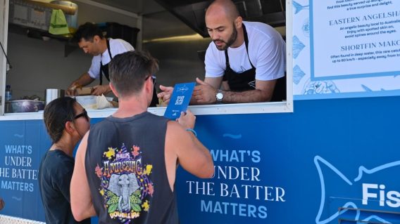 Innocean Australia and AMCS turn endangered shark study into media activation