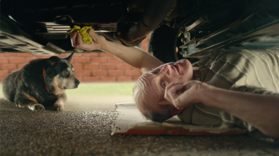 Woolworths Insurance becomes Everyday Insurance in rebrand campaign from M&C Saatchi