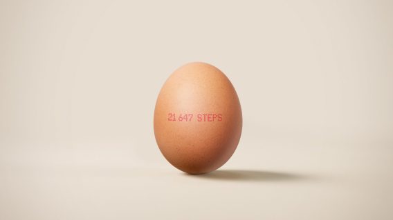 Honest Eggs Co. tracks chicken’s steps via VMLY&R