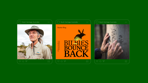 FutureBrand Australia launches new brand strategy for Bush Heritage Australia