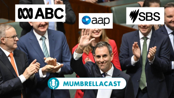 Is the Albanese government a friend or foe of the Australian media sector?