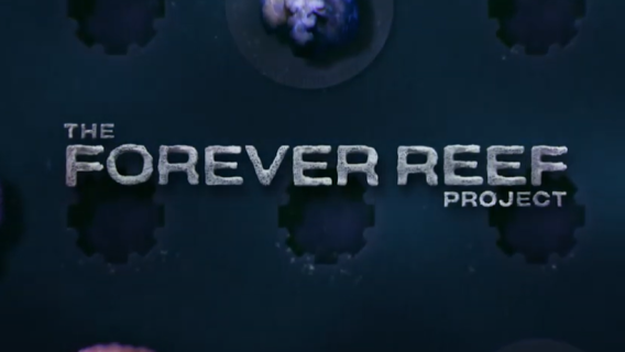 M&C Saatchi launches campaign to drive donations for the Forever Reef Project